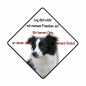 Preview: Aufkleber Border Collie0002